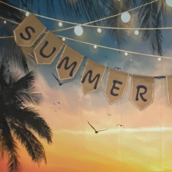 🌅 10’ x 7’ Photo Booth Backdrop Sunset Large Beach Palm Tree Photo Patio Lights - Picture 7 of 8